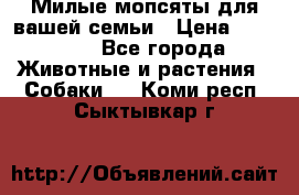 Милые мопсяты для вашей семьи › Цена ­ 20 000 - Все города Животные и растения » Собаки   . Коми респ.,Сыктывкар г.